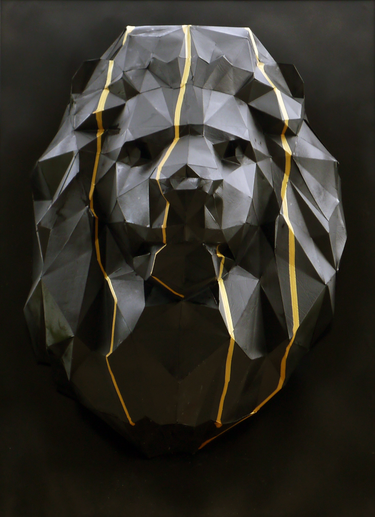 paper lion